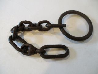 Newhouse Bear Trap Chain / No.  5,  15,  Or 50 / Hutzel / Trapping