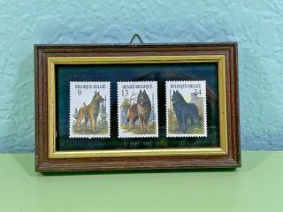 Belgian Sheepdog Tervuren Malinois Framed Stamps Unique