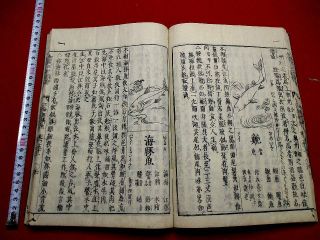 1 - 15 Japanese Wakan50 Fish Guide Woodblock Print Book