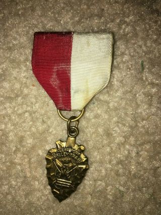 Boy Scout Bsa Clear Fork Valley Ohio Ribbon Award Trail Medal