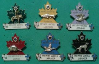 Lions Club Pins - Vintage Ontario Quebec Labrador Canada Lapel Pin Badge (6 Pins)