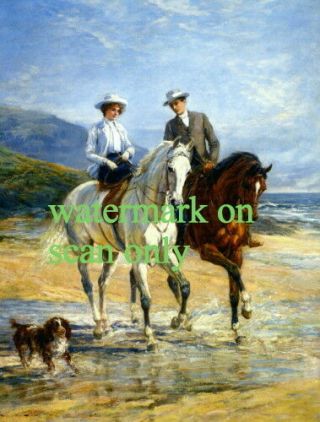 1906 Couple On Horses Beach Sidesaddle Collie Or Spaniel Dog Lge Note Cards