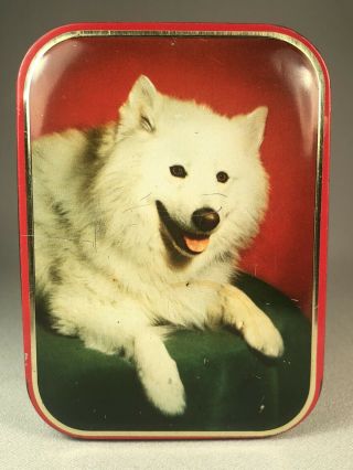 Vintage Candy Tin,  England,  Edward Sharp & Sons,  Samoyed Or American Eskimo Dog