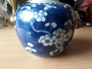 Antique Chinese Prunus Blue & White Porcelain Ginger Jar Kangxi Marks