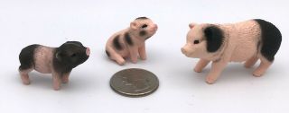 Schleich Miniature Pig & 2 Piglets Mini Babies Farm Animal Figures 42422