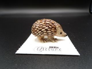 Little Critterz Hedgehog " Tiggy " Porcelain Figurine Lc122