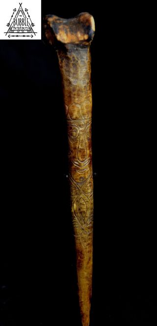 Fine Vintage Wosera Dagger,  Papua Guinea,  Png,  Oceanic