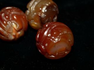 One Chinese Carved Bead Orange Agate Carnelian Curling Wind Dragon Round 18mm