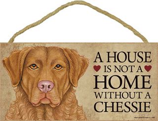Chesapeake Bay Retriever Indoor Dog Breed Sign Plaque - A House Is Not A Home.
