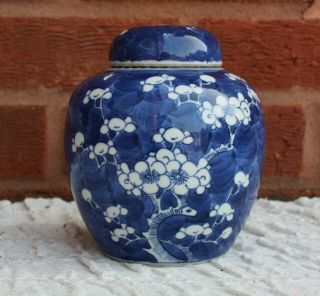 19th Century Chinese Blue And White Prunus Jar