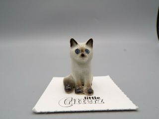 Little Critterz Ragdoll Kitten " Samantha " Porcelain Figurine Lc902