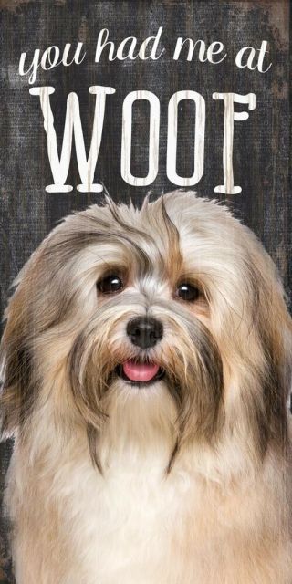 Havanese Sign - You Had Me At Woof 5x10