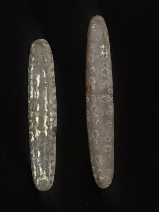 2 Rare Lao " Tiger Tongue " Money 16th Century Fresh To The Market From Very Old