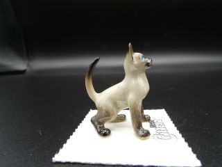 Little Critterz Siamese Kitten " Blaze " Porcelain Figurine Lc906