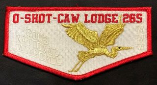 Oa O - Shot - Caw Lodge 265 Bsa Florida Patch 2005 Jamboree Mylar Heron Ghost Flap