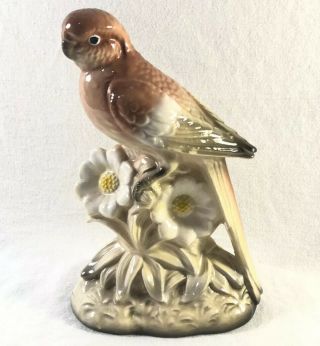 Vintage Ceramic Brown Parakeet Budgie Figurine On Flowered Base Japan
