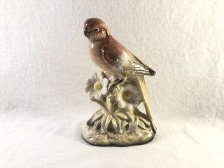 Vintage Ceramic Brown Parakeet Budgie Figurine On Flowered Base Japan 2