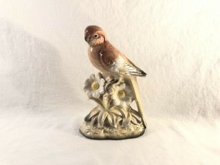Vintage Ceramic Brown Parakeet Budgie Figurine On Flowered Base Japan 3