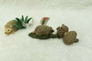 Schleich Four Toed Hedgehog And Trio Of Hedgehog Babies,  Both With Tags