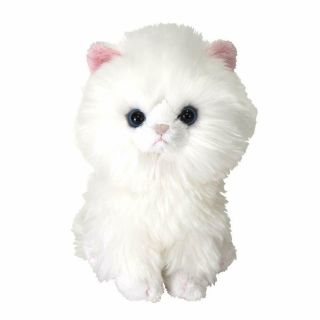 Sunlemon Plush Doll Kitten Persian (wh) S Tjn