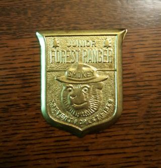 Vintage Toy Premium Pin Back Button Badge - Junior Forest Ranger Smokey Bear