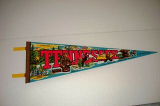 Vintage Tennessee State Pennant Landmarks Umbrella Rock Confederate Imprint Art