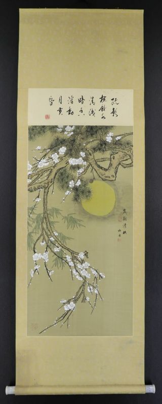 Chinese Hanging Scroll Art Painting " Blossoms And Moon " E2921
