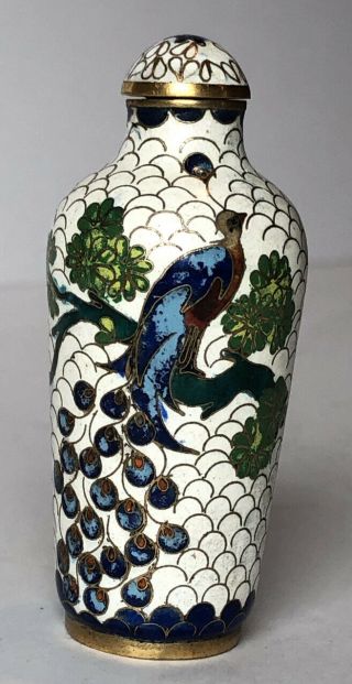 Antique Chinese Cloisonné On Brass 3” Snuff Bottle,  White With Peacock Scene