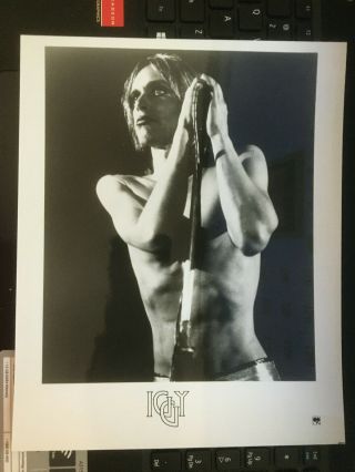Iggy Pop & The Stooges 1973 Vintage Press Headshot Photo.