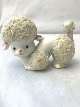 Enesco Sugar Rock Textured Ceramic White Poodle Dog Figurine Japan 2.  25 " Vintage