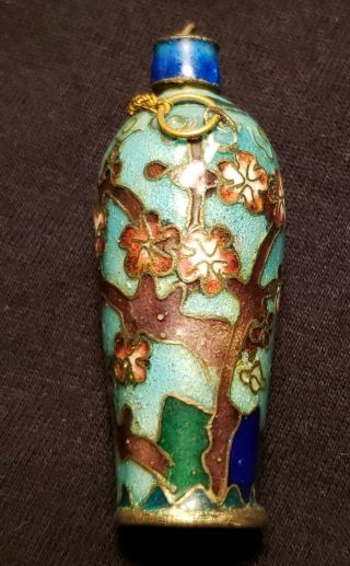 Antique Fine Chinese Cloisonne Snuff Bottle 19th Century Cherry Tree Blossoms