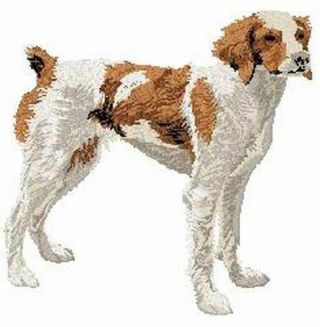 Brittany Dog Embroidered Patch 3.  3 " Tall