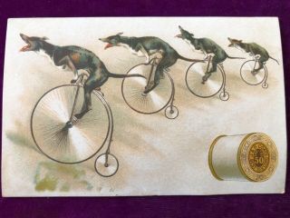 Antique Victorian Trade Card J & P Coats Line Of Greyhounds Riding Bicycles