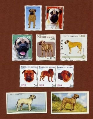 Bullmastiff Dog Stamps And Cards Set Of 8