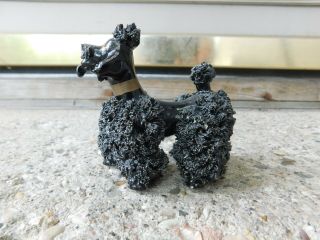 Vintage Black Spaghetti Poodle Standing On All Fours