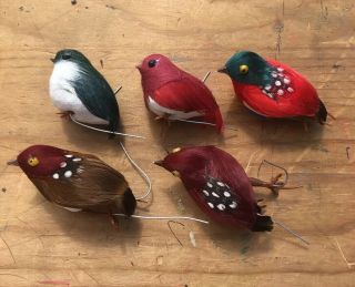 Vintage Set Of 5 Artificial Birds Crafting Ornaments Real Feathers