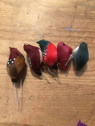 Vintage Set of 5 Artificial Birds Crafting Ornaments Real Feathers 2