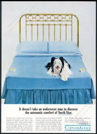 1964 Skye Terrier Photo North Star Blanket Creslan Vintage Print Ad