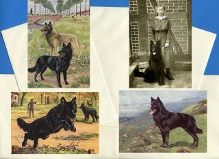 Belgian Shepherd Dog Pack Of 4 Vintage Style Dog Print Greetings Note Cards