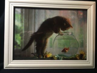 8”x6” Kitten With Fish Picture And Frame