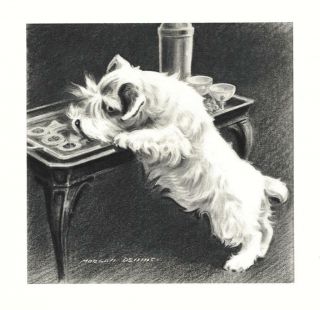 Sealyham Terrier - Morgan Dennis Dog Print - Matted