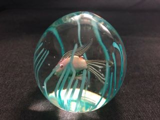 Vintage Fratelli Toso Murano Art Glass Paperweight Fish 2 Sided Colorful