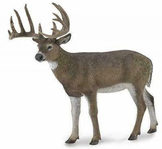 2018 Collecta Wildlife Series White Tailed Deer Buck With Horns 88832