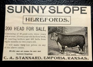 1902 Stannard Farm Cattle Public Advertising - Emporia - Kansas - Cow