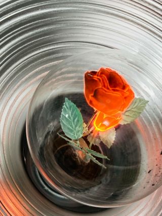 Vintage Aerolux Rose Flower Art Glass Light Bulb Wowza
