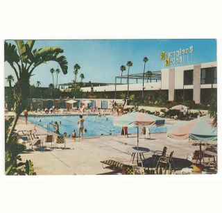 Vintage Disneyland Hotel Postcard Guests At Pool Circa 1960