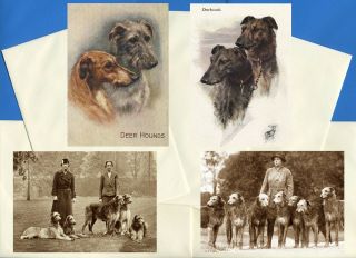 Scottish Deerhound Pack Of 4 Vintage Style Dog Print Greetings Note Cards 1