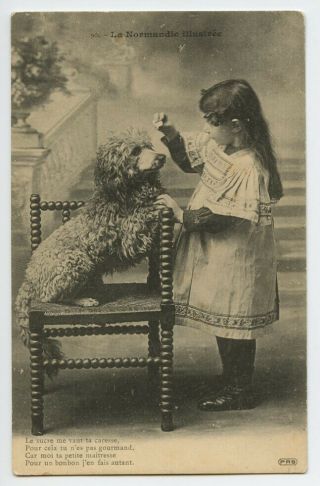 C 1910 Young Girl W/ Poodle Dog Vintage French Photo Postcard