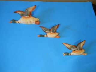 Set Of 3 Vintage Ceramic Ducks Wall Decoration Planters Occupied Japan Great