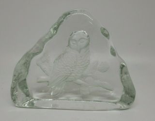 Vintage Reverse Etched Owl On Branch Clear Glass Paperweight Decor